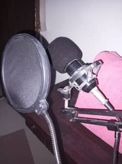 BM 800 Mic