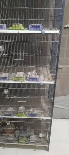 parrots angle cage for sale