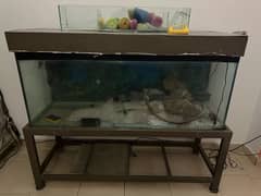 Aquarium | 60 x 20 x 20 in3 | Metal stand | 12 mm Glass