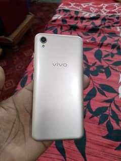 vivo