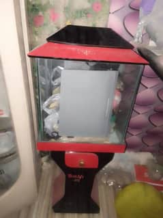 fish aqurium new condition fori sale