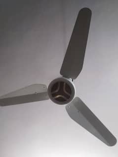 Ceiling fan