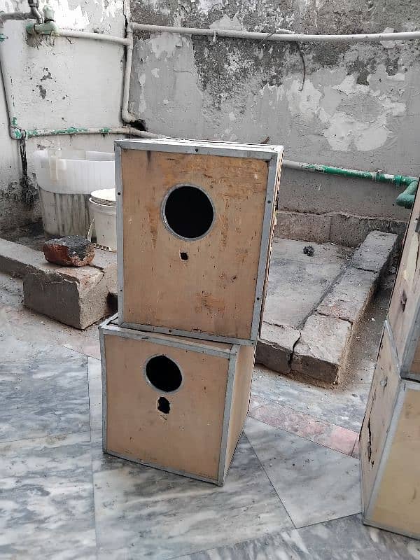 cocktail breeding box 1