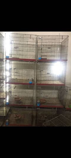 cage for sale