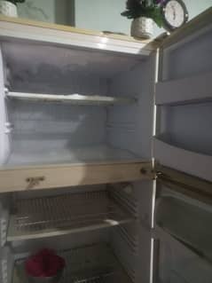 PEL fridge for sale