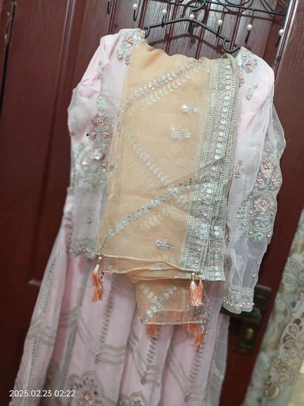 fancy maxci branded 3