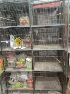 parrots cages for sale in varieties