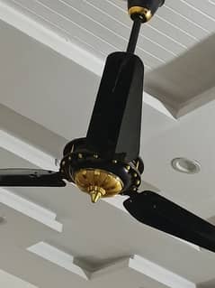 ceiling fans