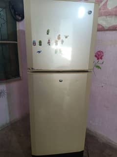 Pel fridge double door medium size