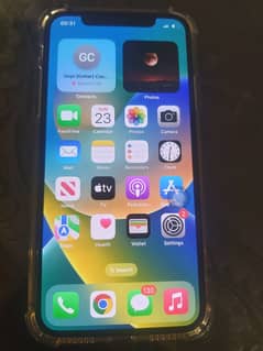 Apple iPhone X