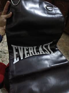 everlast punching bag