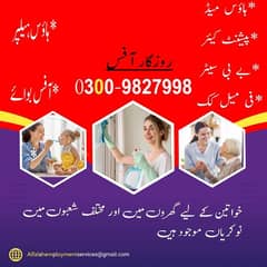 House maid baby sitter patient care chef cook