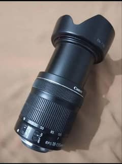 cannon 18-135 Mm stm lens