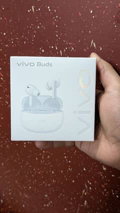 vivo