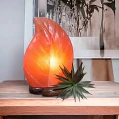 salt Lamps and hangig lights available