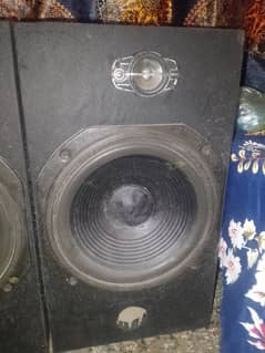 2 speakers 12 inch very good condition