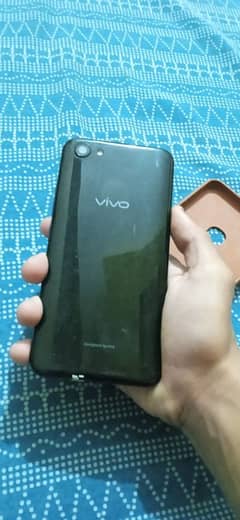 vivo