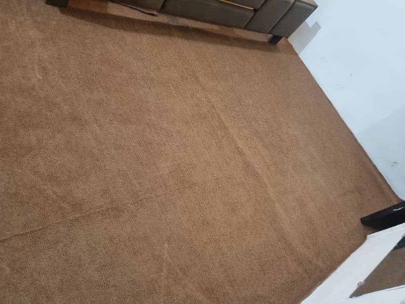 Brown carpet 1