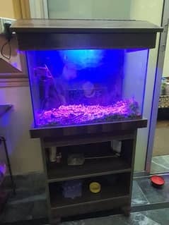 Fish aquarium with lights