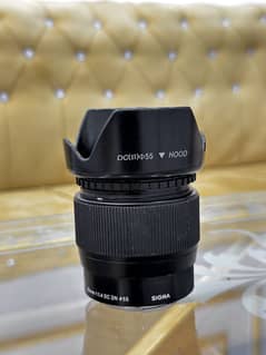 Sony 56mm 1.4 sigma