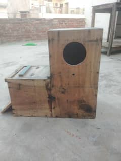 breeding box for raw, grey macaw etc