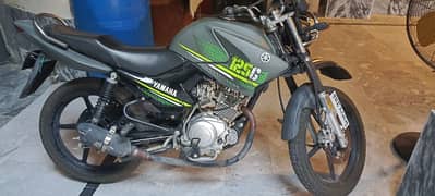 ybr125g