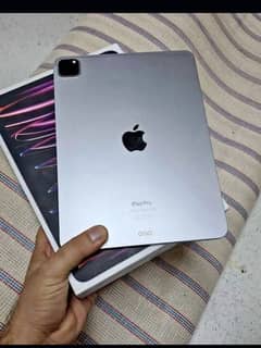 iPad M2 256 GB/0313 4935 014