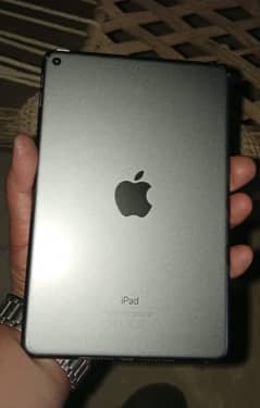 Ipad mini 5 used 256 gb