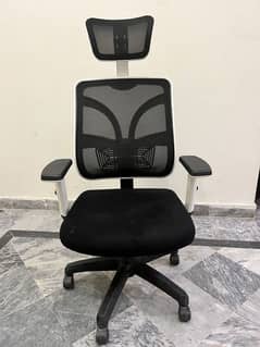 Executive imported Chair