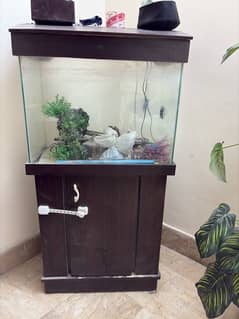 Fish Aquarium Used Like New