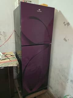 company Electrolux refrigerator