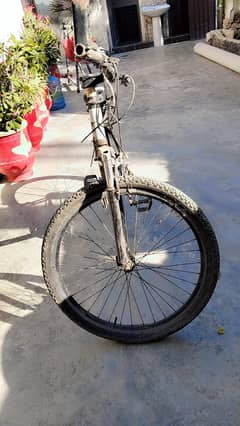 Cycle back tire and brake out of order