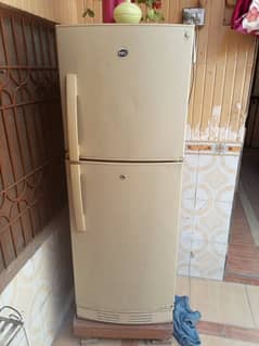 pel freezer for sale