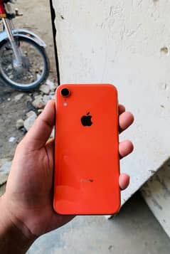 iPhone XR