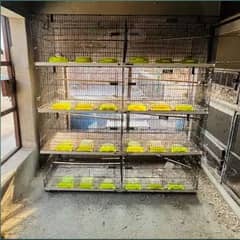 birds cage 8 box condition 10-9