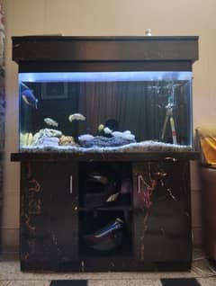 Aquarium for sale