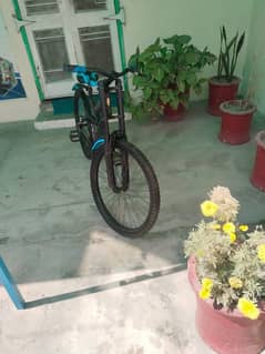 cycle for sale