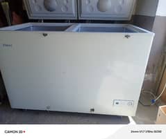 Haier Freezer for Milk Shop