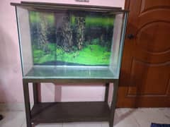 FISH AQUARIUM NEW BIG SIZE