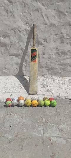 Cricket