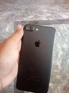 7plus pta aproved