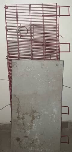 4 Foldable Cages are Available For Birds / Parrot.