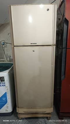 PEL Refrigerator for sale