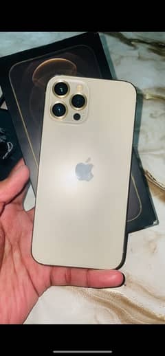 Iphone 12 Pro Max 512gb