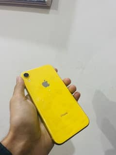 iPhone xr