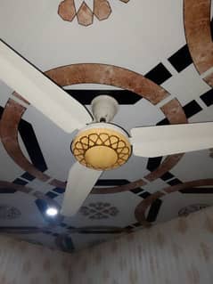 Ceiling fan