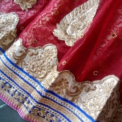 Banarsi Lehnga (indian style)