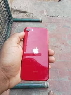 I phone se 2020  pta