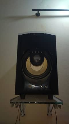 Audionic speaker