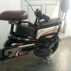 Electric Bike for Sale